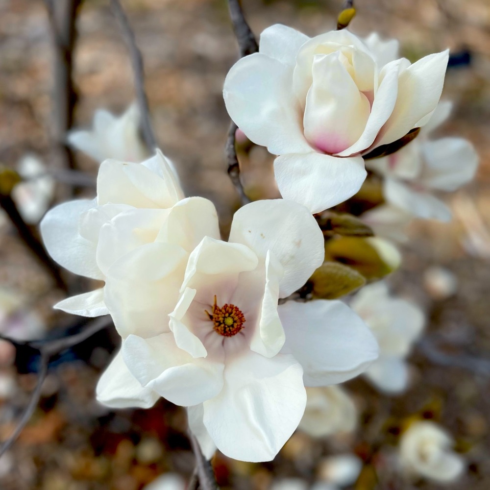 Meet your Posher, Gabi